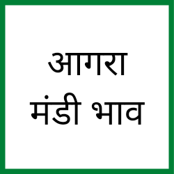 Agra-mandi-bhav