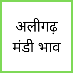 Aligarh-mandi-bhav