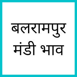 Balrampur-mandi-bhav