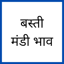 Basti-mandi-bhav