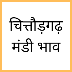 Chittorgarh-mandi-bhav