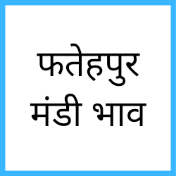 Fatehpur-mandi-bhav
