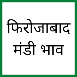 Firozabad-mandi-bhav
