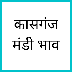 Kasganj-mandi-bhav