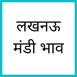 Lucknow-mandi-bhav