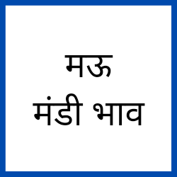 Mau-mandi-bhav