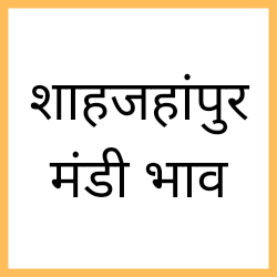 Shahjahanpur-mandi-bhav